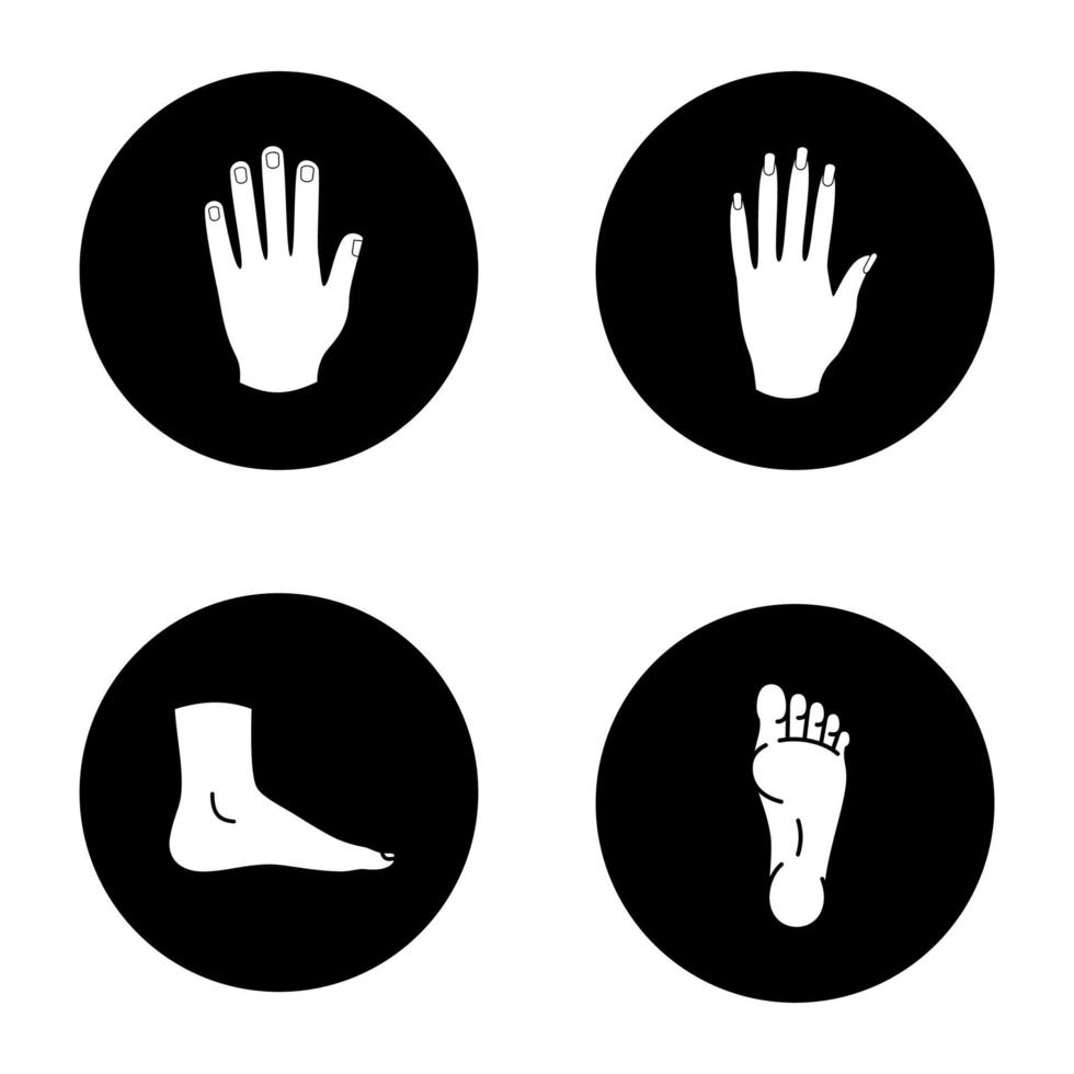 Ensemble d'icônes de glyphe de parties du corps humain. mains, pieds masculins et féminins. illustrations vectorielles de silhouettes blanches dans des cercles noirs vecteur