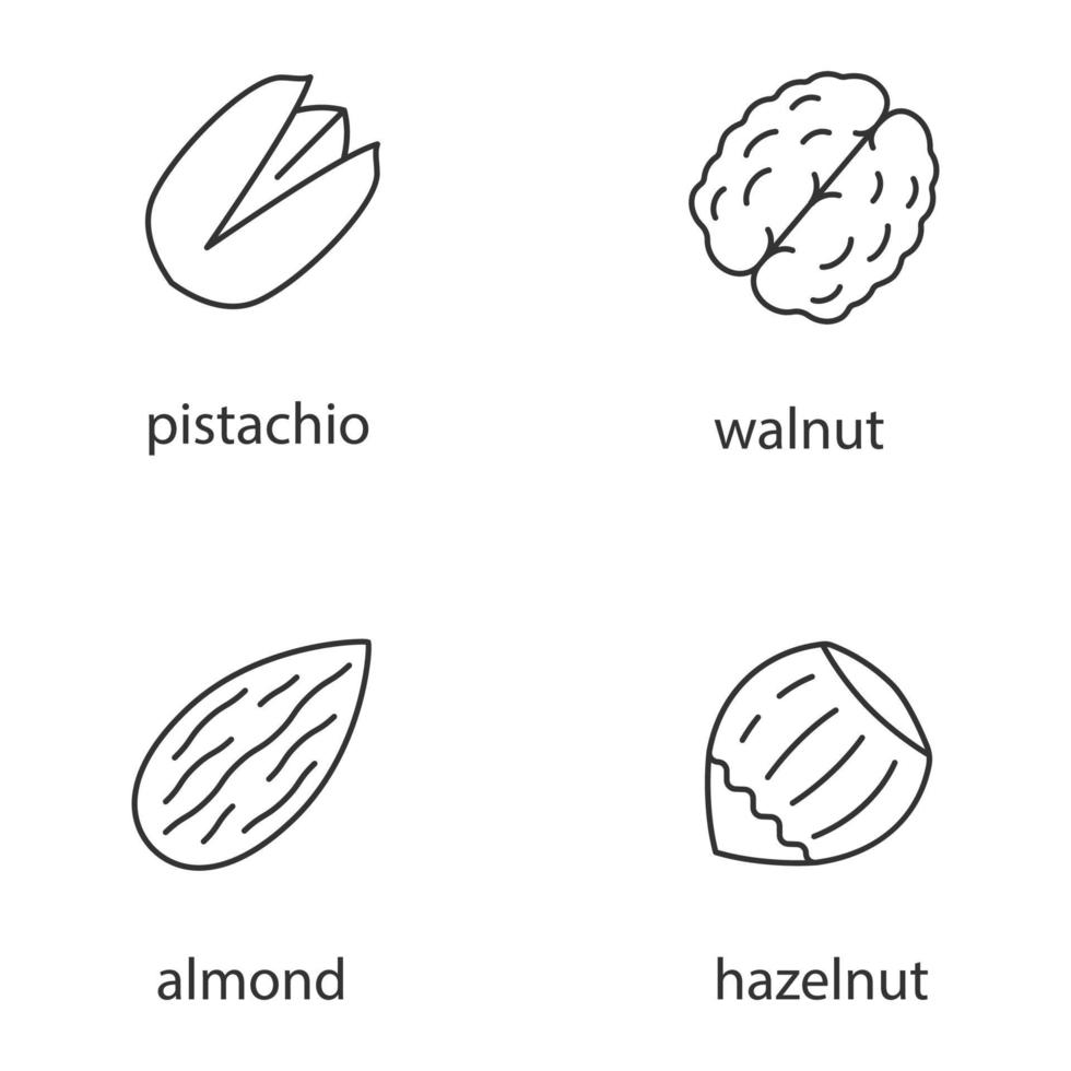 ensemble d'icônes linéaires de types de noix. symboles de contour de ligne mince. pistache, noix, amande, noisette. illustrations de contour de vecteur isolé