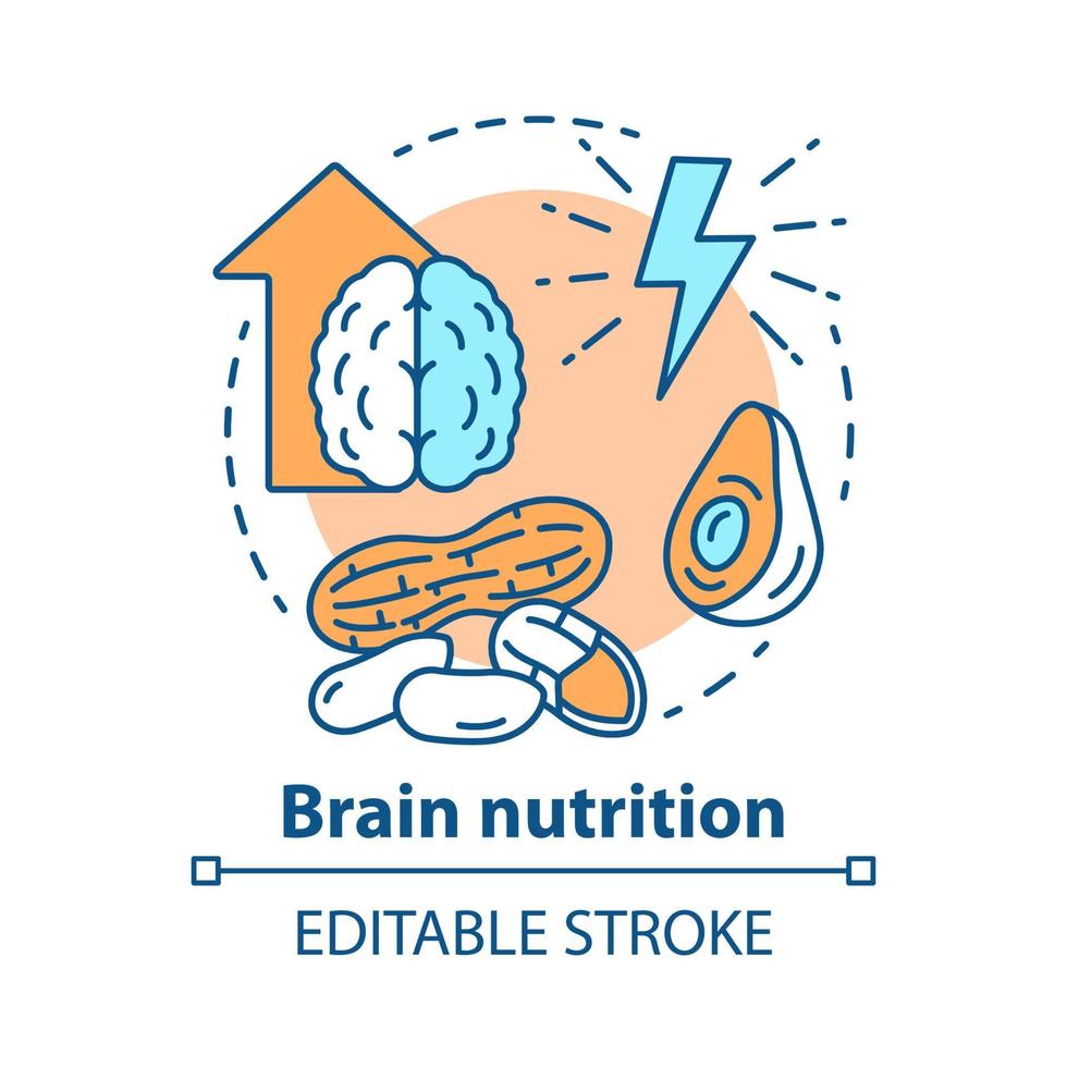 icône de concept de nutrition cérébrale. illustration de ligne mince d'idée de régime céto. nourriture cétogène. repas sain. noix différentes. ressource énergétique. dessin de contour isolé de vecteur. trait modifiable vecteur