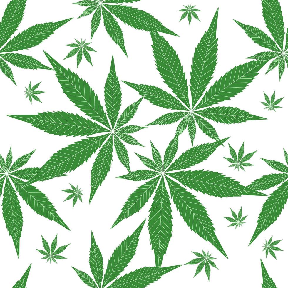 feuille de marijuana transparente motif vert. motif de chanvre vecteur