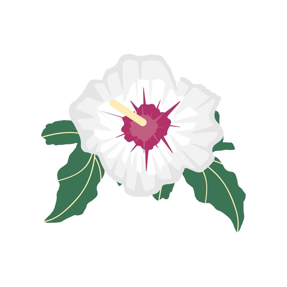 fleur hibiscus nature vecteur