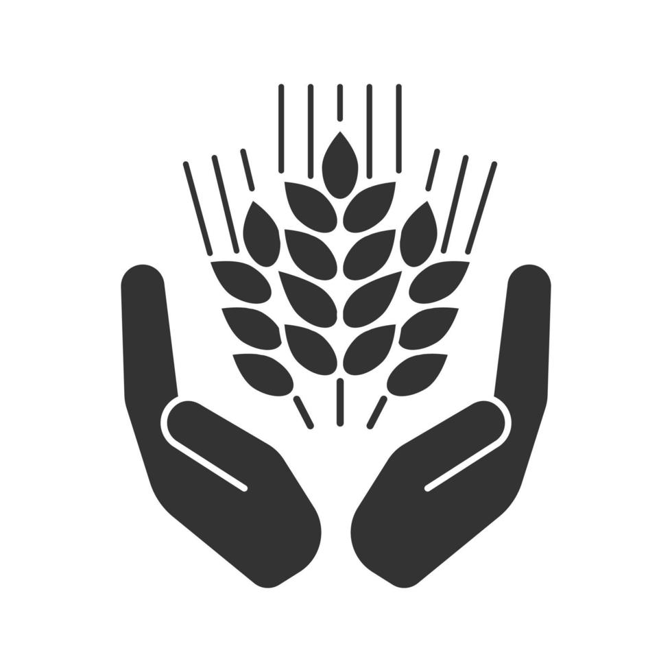 paumes ouvertes avec l'icône de glyphe d'épis de blé. symbole de silhouette. agriculture. espace négatif. illustration vectorielle isolée vecteur