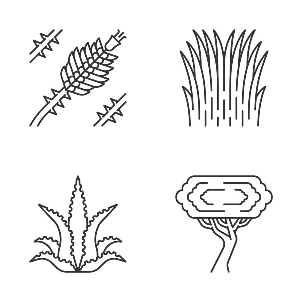 Ensemble d'icônes linéaires de plantes du désert vecteur