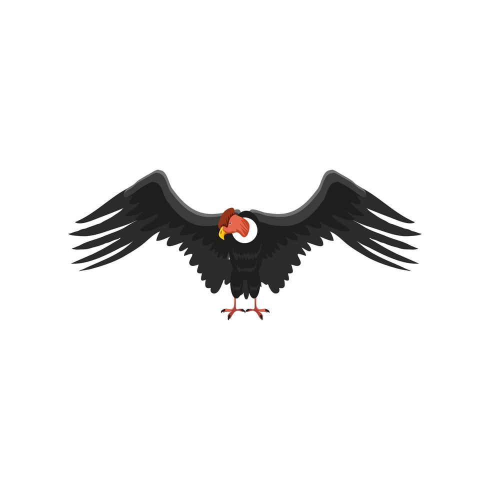 condor oiseau animal vecteur