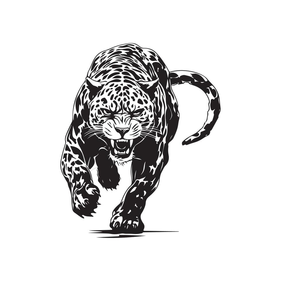 léopard vecteur images