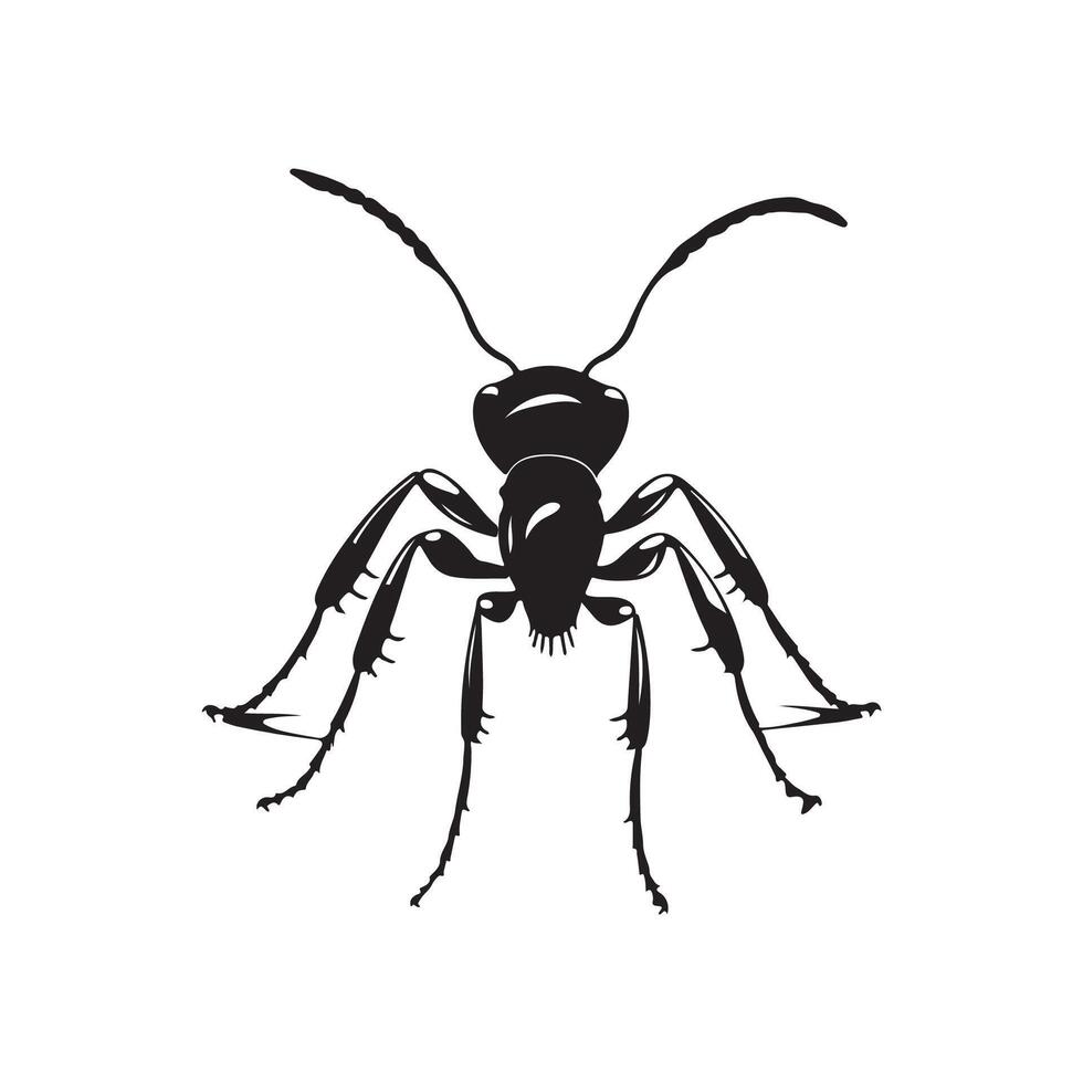 fourmi image vecteur, silhouette de une fourmi vecteur