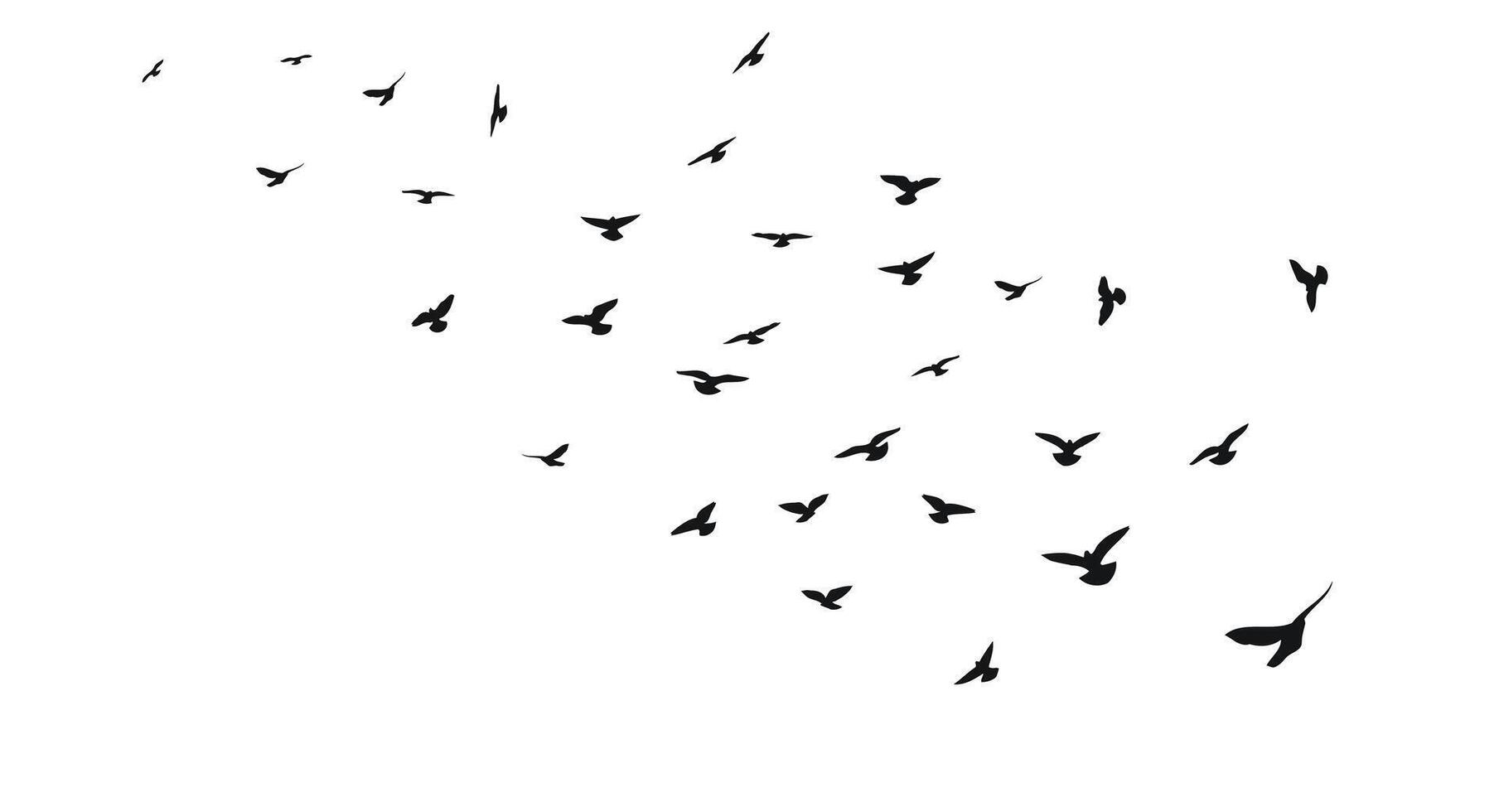esquisser silhouette de une troupeau de en volant noir des oiseaux, décoller, en volant, vol, battement, voler, flotter, monter, atterrissage, isolé vecteur