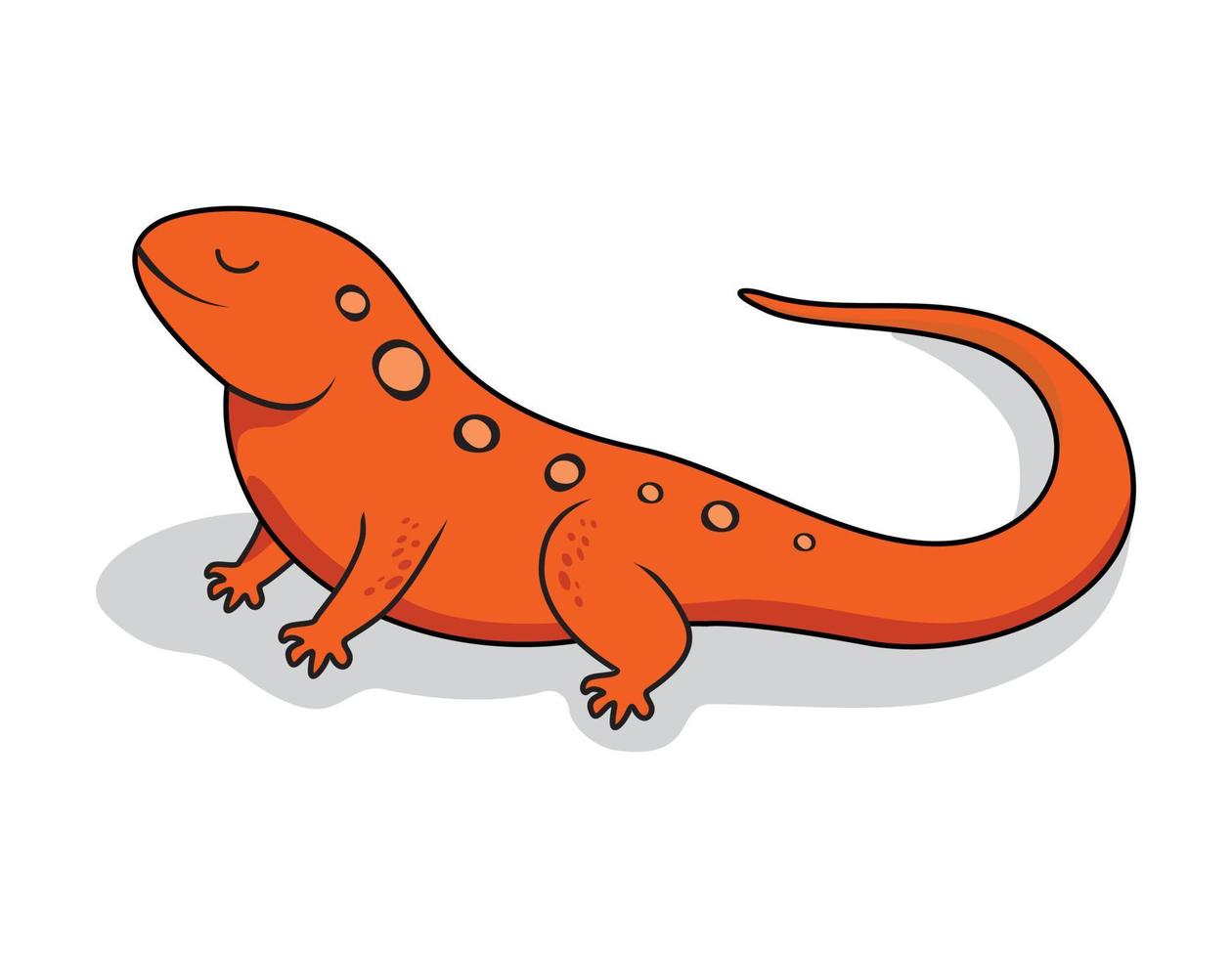 illustration d'animaux salamandre dessin animé triton vecteur