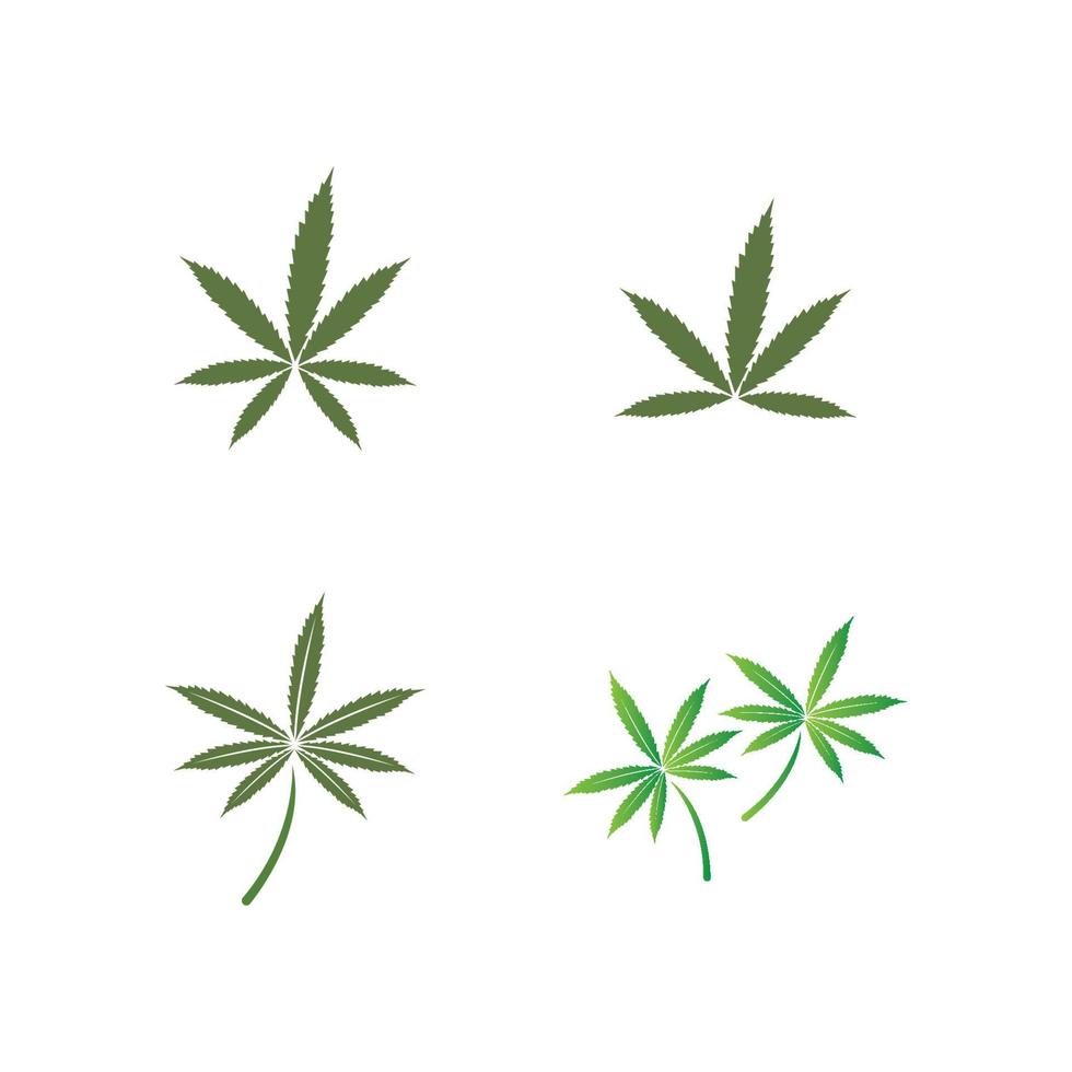 logo vectoriel d'icône de cannabis ou de marijuana pour l'industrie médicale ou pharmaceutique