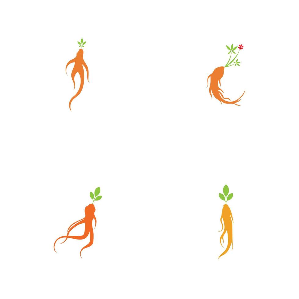 ensemble de modèle de conception d'illustration de logo de ginseng vecteur