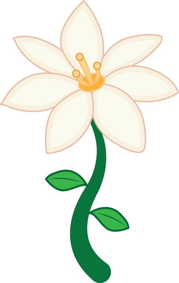 lilium fleur illustration vecteur