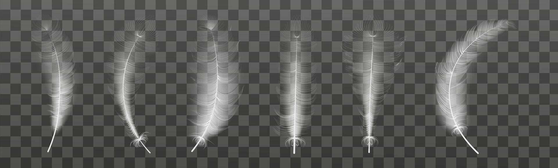 ensemble de réaliste vecteur OIE ou cygne plumes de divers formes. écologique plume remplissage pour oreillers, couvertures ou vestes.vecteur concept conception, ligne art.