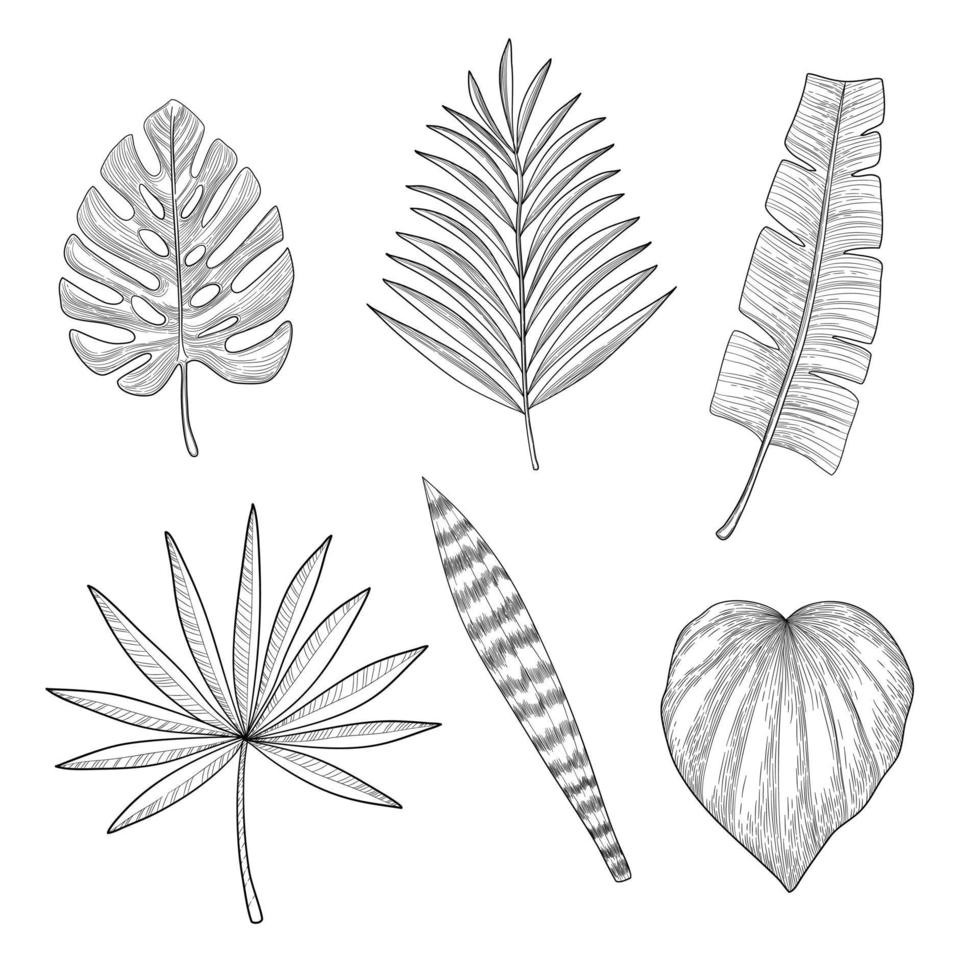 ensemble de feuilles tropicales dans un style de griffonnage dessiné à la main vecteur