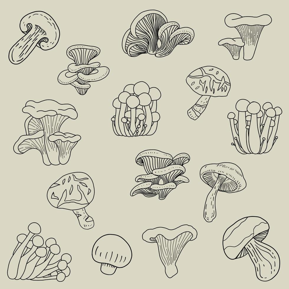 doodle croquis à main levée collection de dessin de légume champignon. vecteur