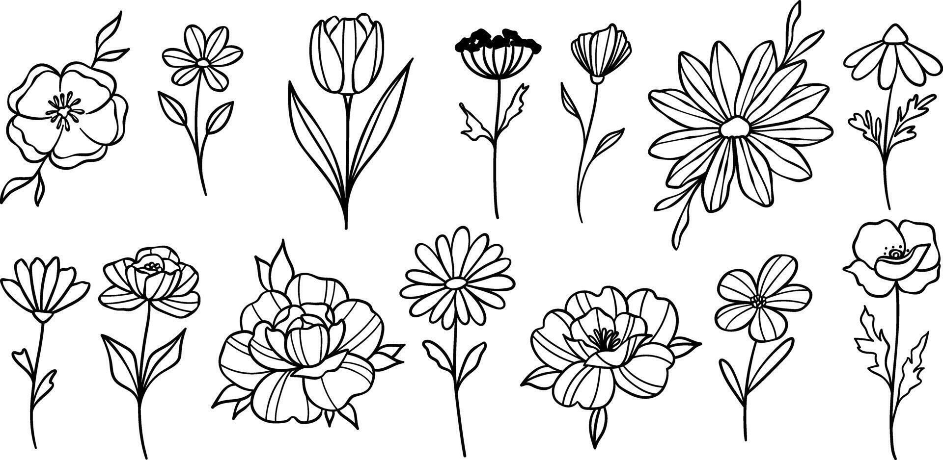 fleur griffonnages, vecteur floral des illustrations mignonne minuscule main tiré décoratif élément ensemble