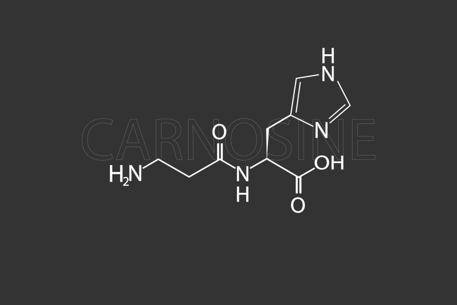 carnosine moléculaire squelettique chimique formule vecteur