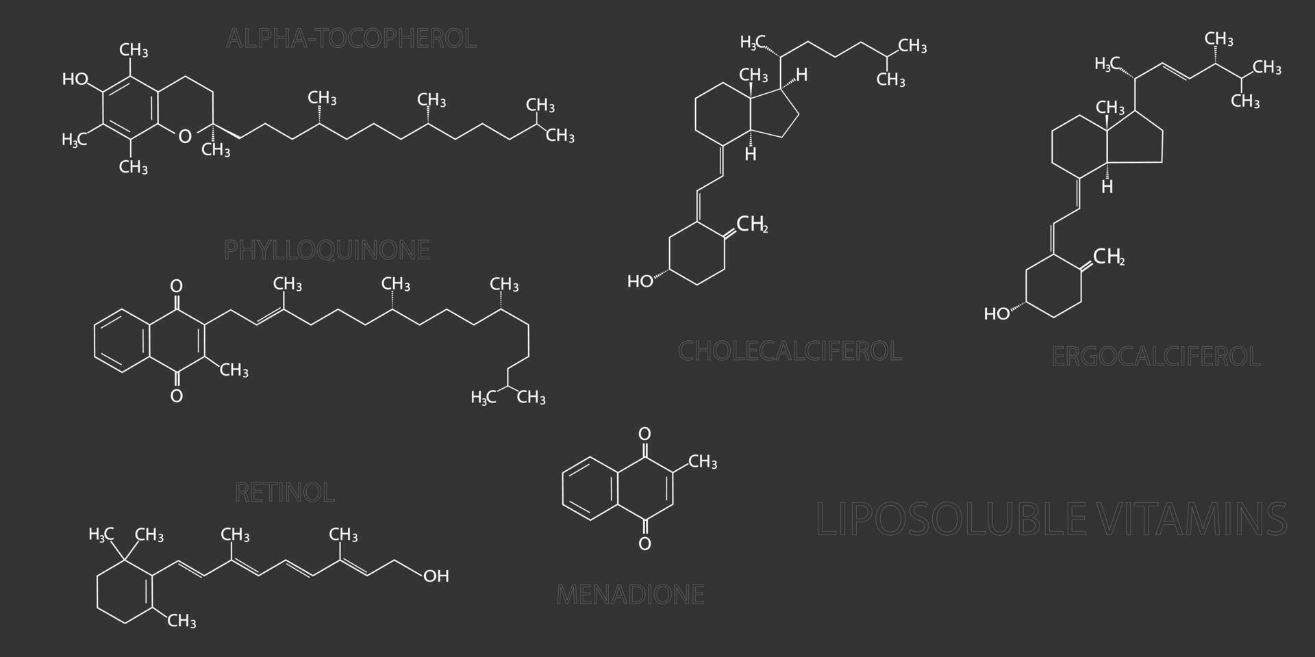 liposoluble vitamines moléculaire squelettique chimique formule vecteur