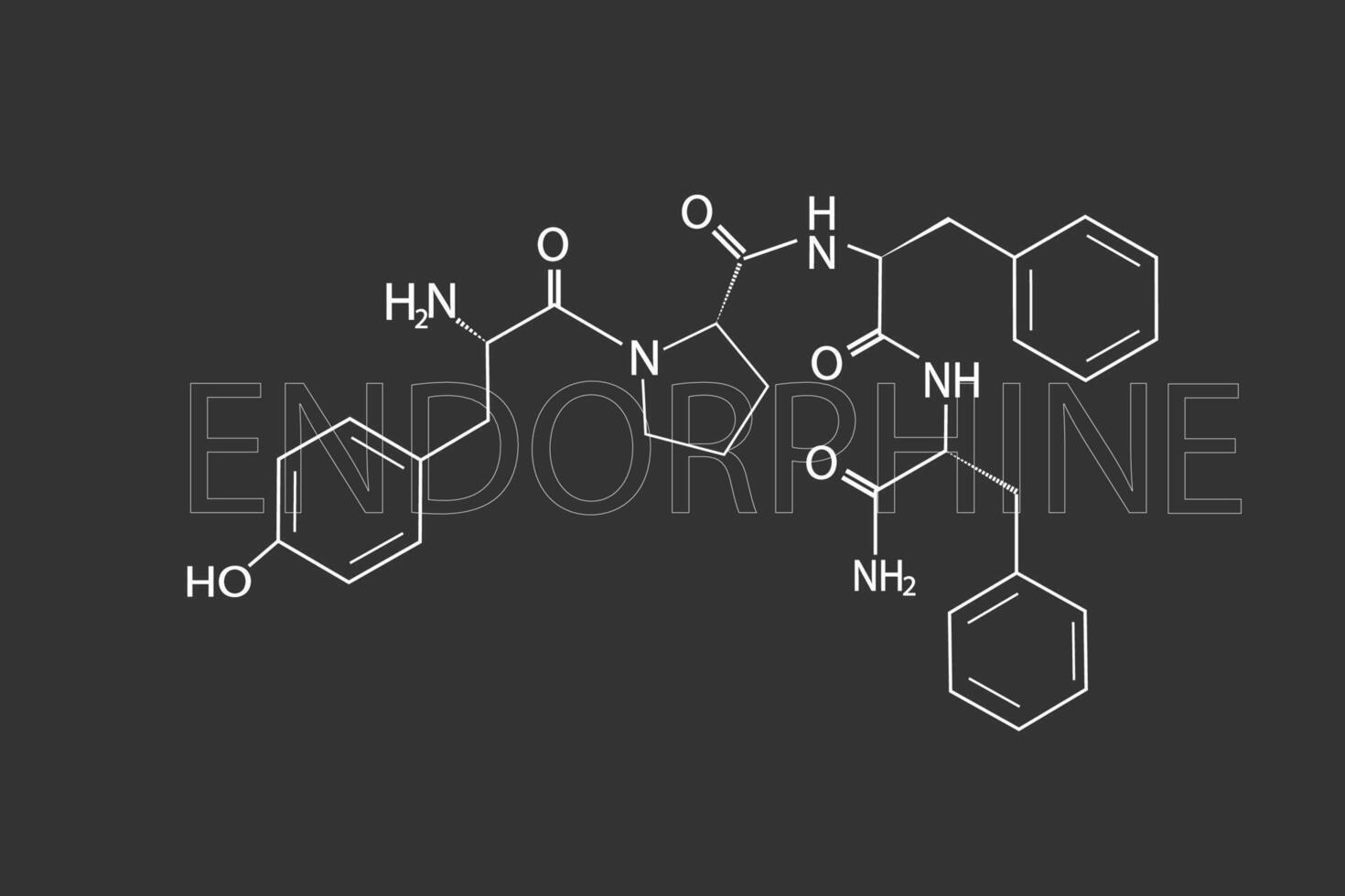 endorphine moléculaire squelettique chimique formule vecteur