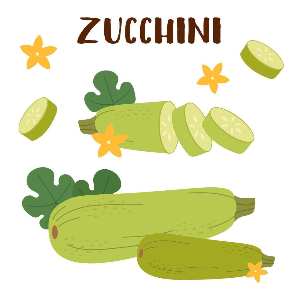 ensemble de Zucchini des légumes dans plat style isolé sur blanc Contexte. vecteur