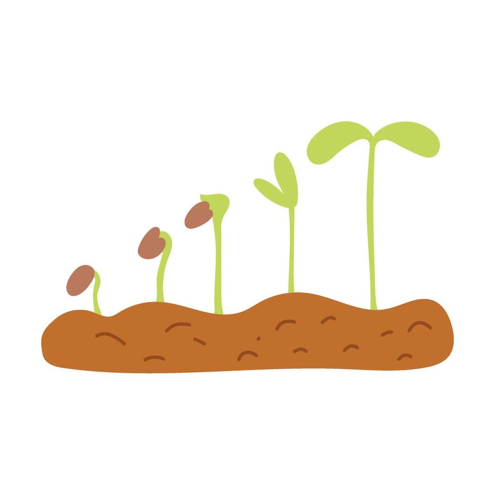 main tiré plante croissance étapes, germer grandir processus vecteur
