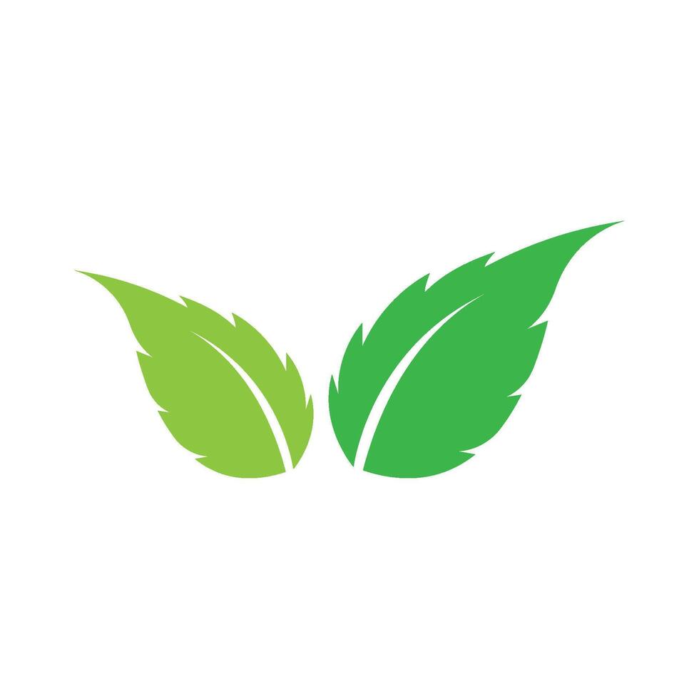 icône de vecteur de feuille verte écologie nature élément