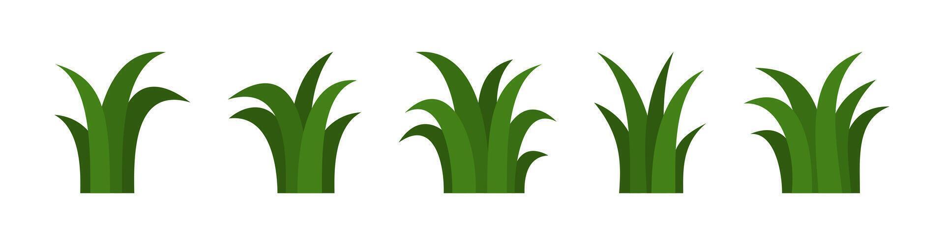 herbe clipart adapté pour la nature à thème conceptions, éco amical des produits, aménagement paysager entreprises, Extérieur événements, enfants illustrations, et éducatif matériaux. vecteur