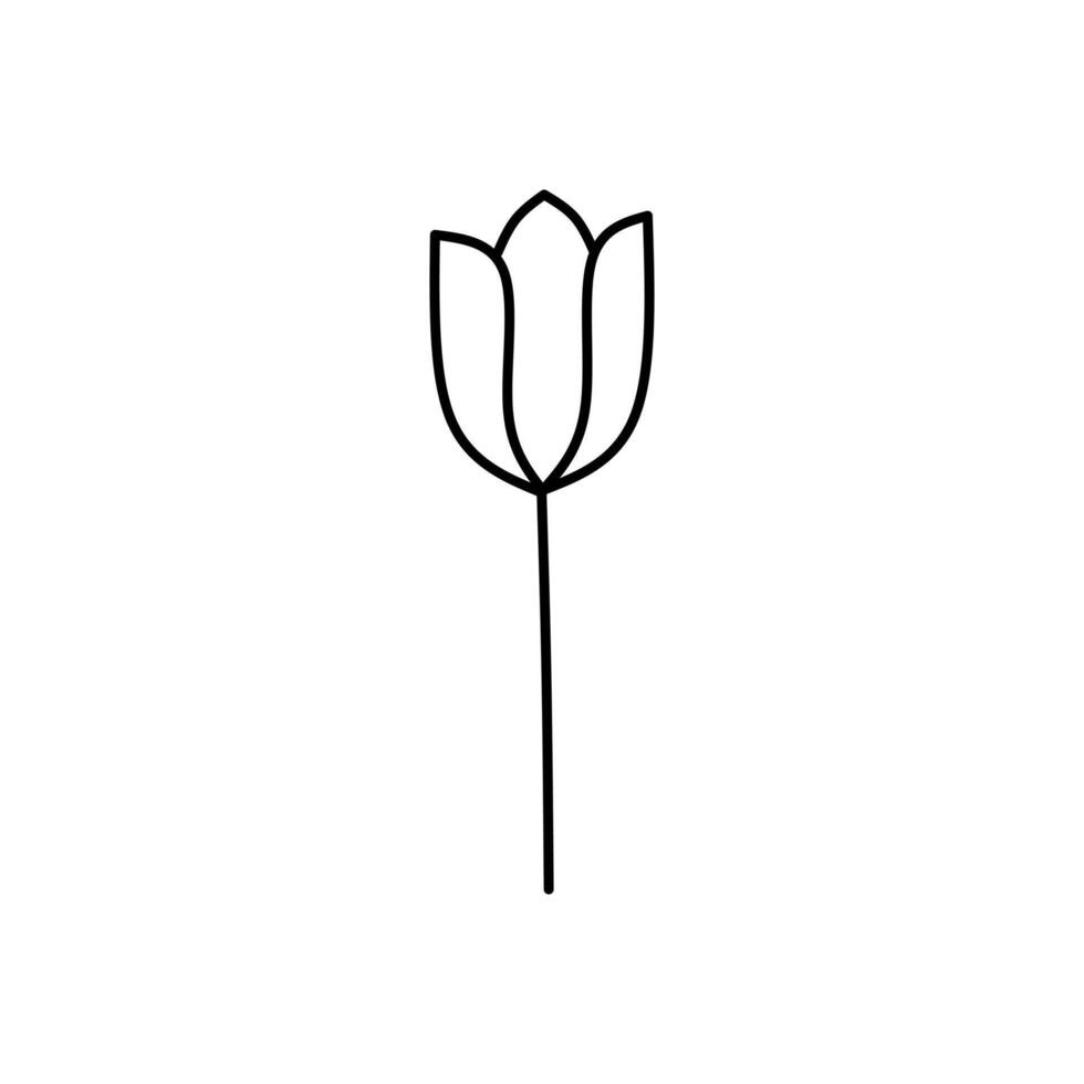 noir et blanc fleur dessin, adapté pour salutation cartes, papeterie, mariage faire-part, botanique illustrations, et la nature à thème conceptions. vecteur