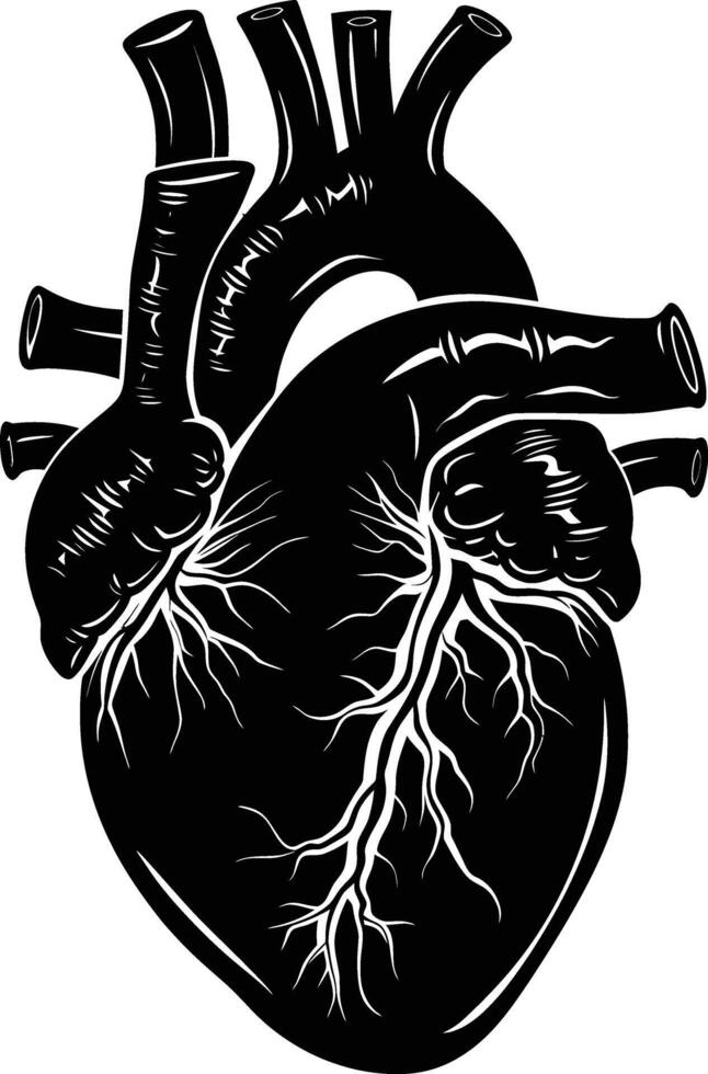 ai généré silhouette pour interne organes de le cœur noir Couleur seulement vecteur