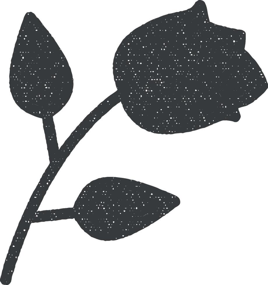 Rose vecteur icône illustration avec timbre effet