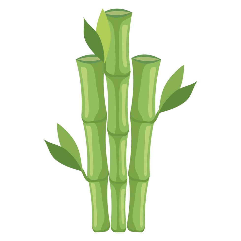 icône de la nature en bambou vecteur
