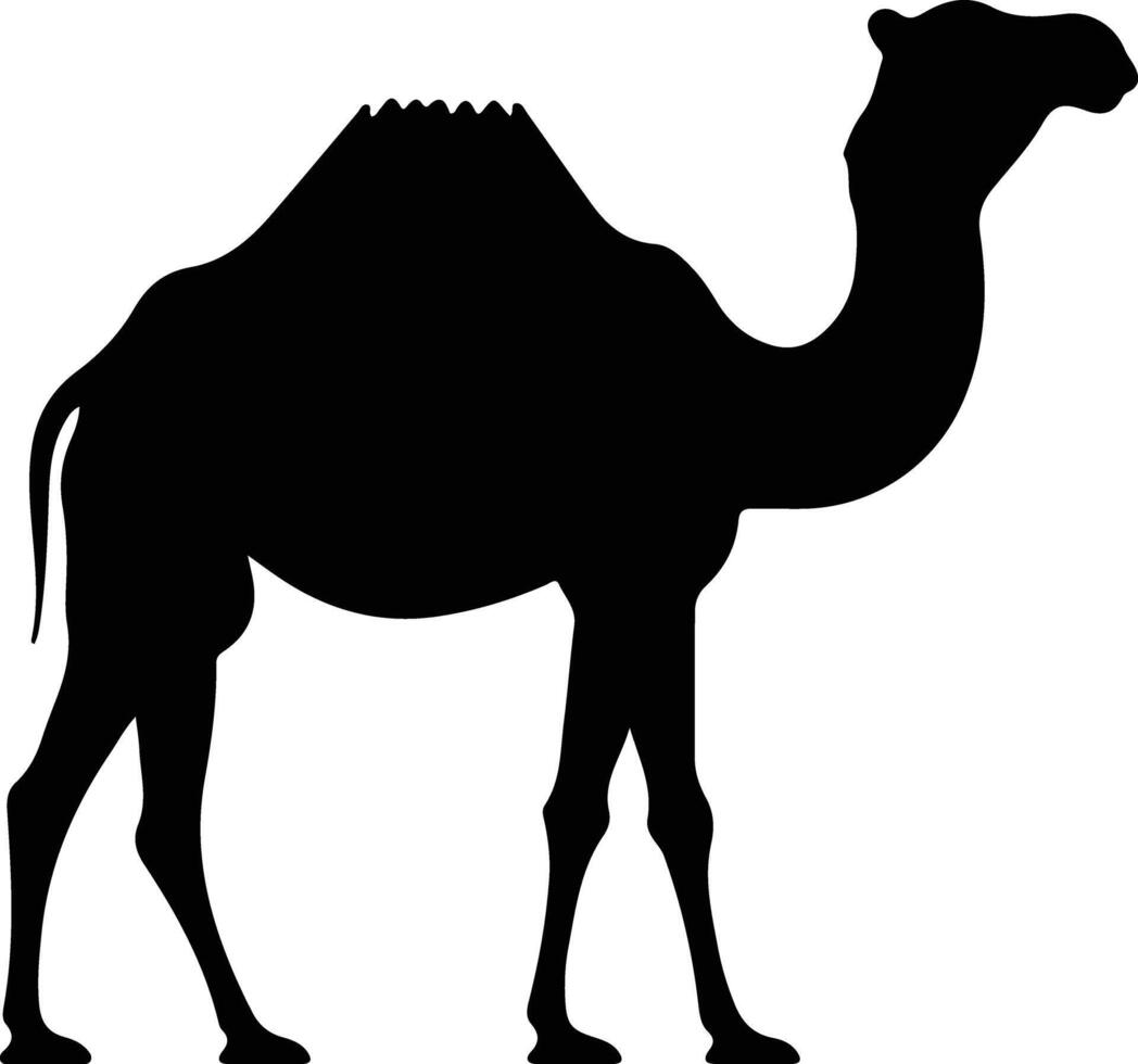 chameau de Bactriane noir silhouette vecteur