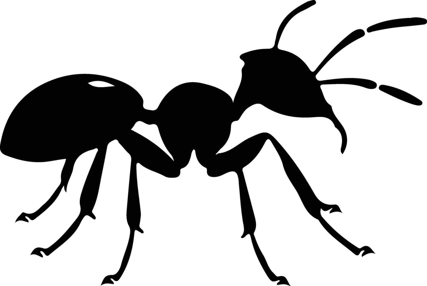 Charpentier fourmi noir silhouette vecteur