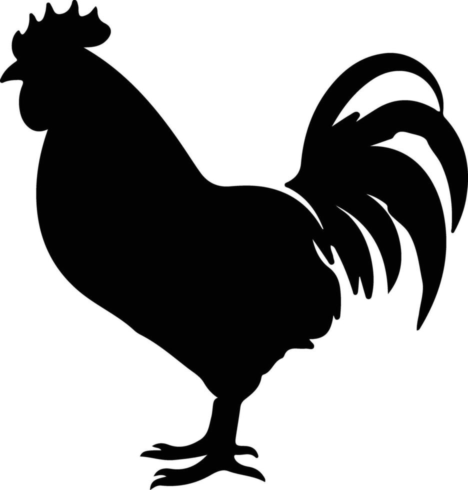 poulet noir silhouette vecteur