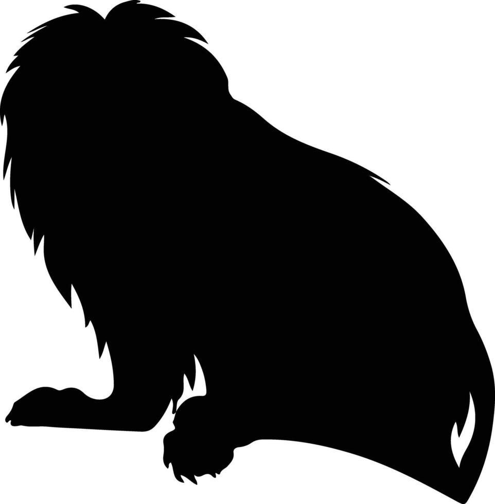 d'or Lion tamarin noir silhouette vecteur