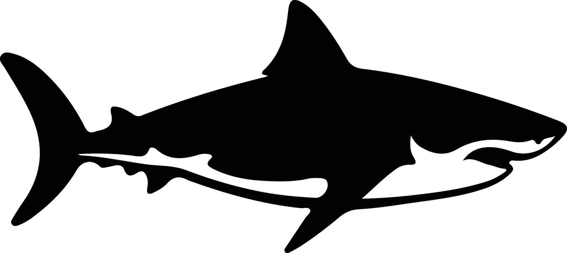 génial blanc requin noir silhouette vecteur