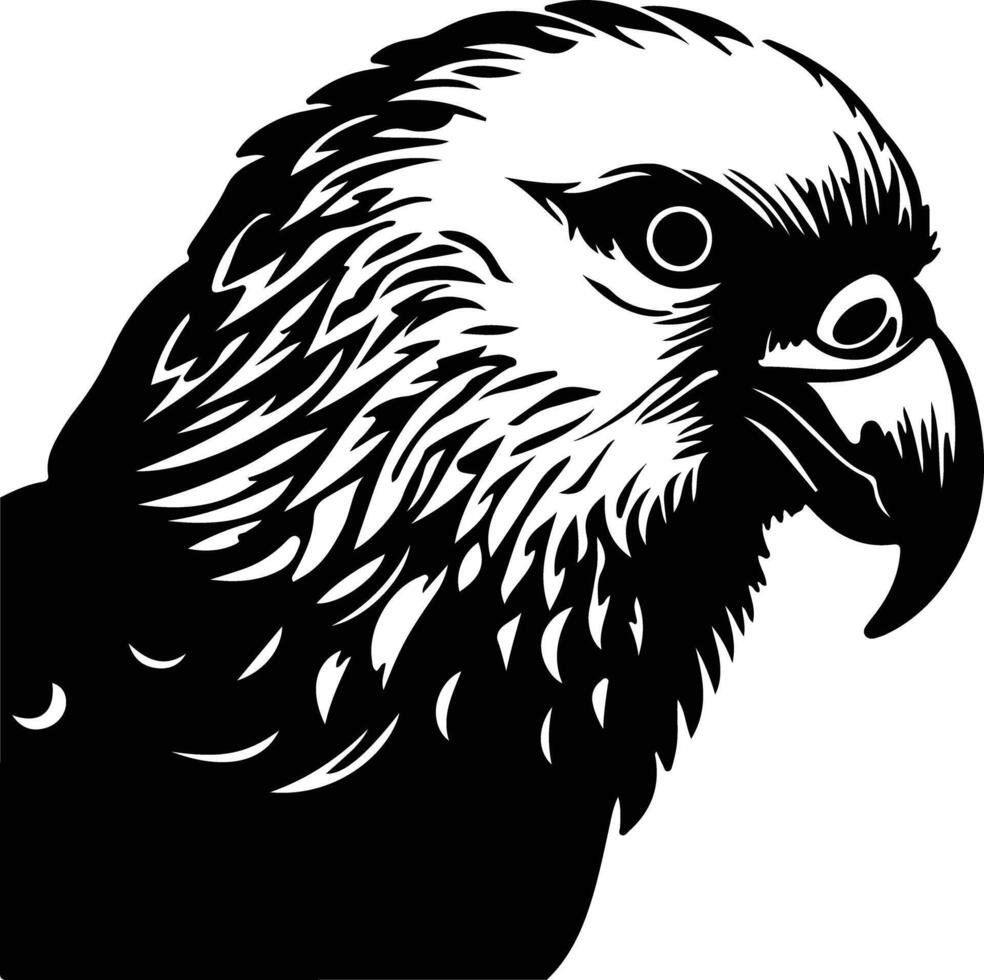 kakapo noir silhouette vecteur