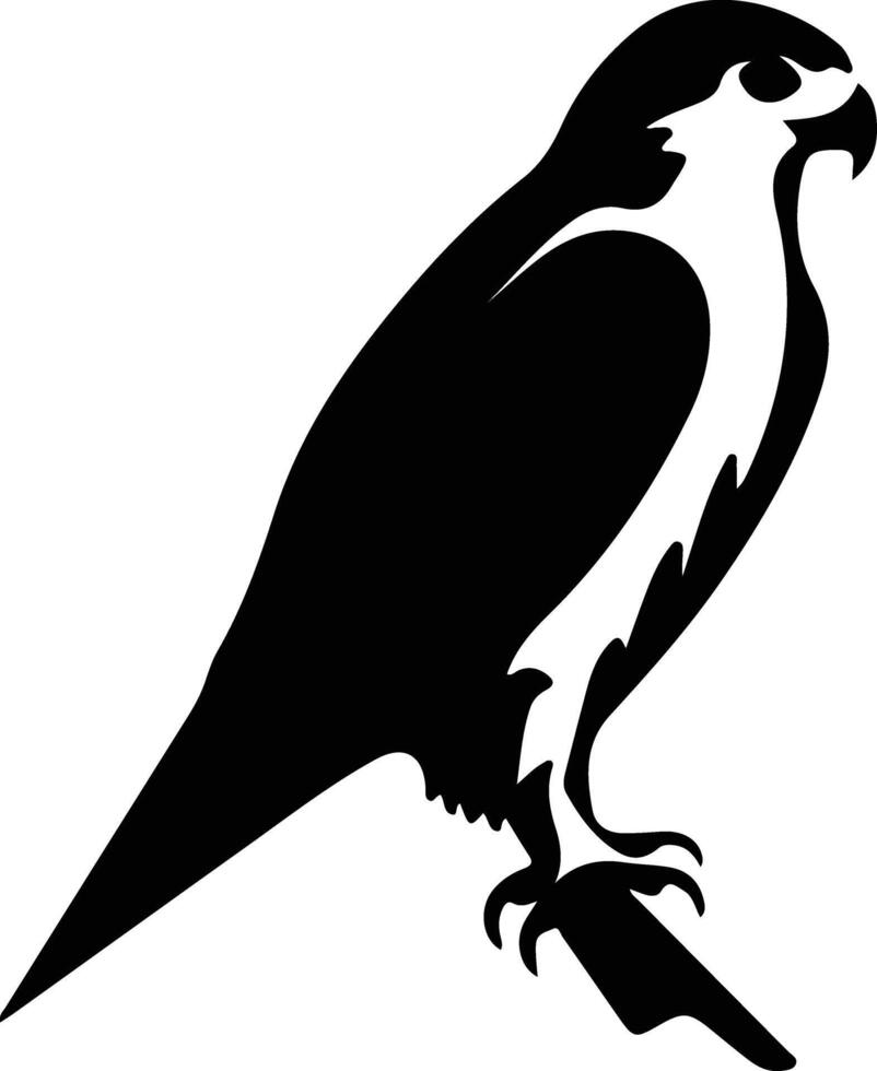 pèlerin faucon noir silhouette vecteur