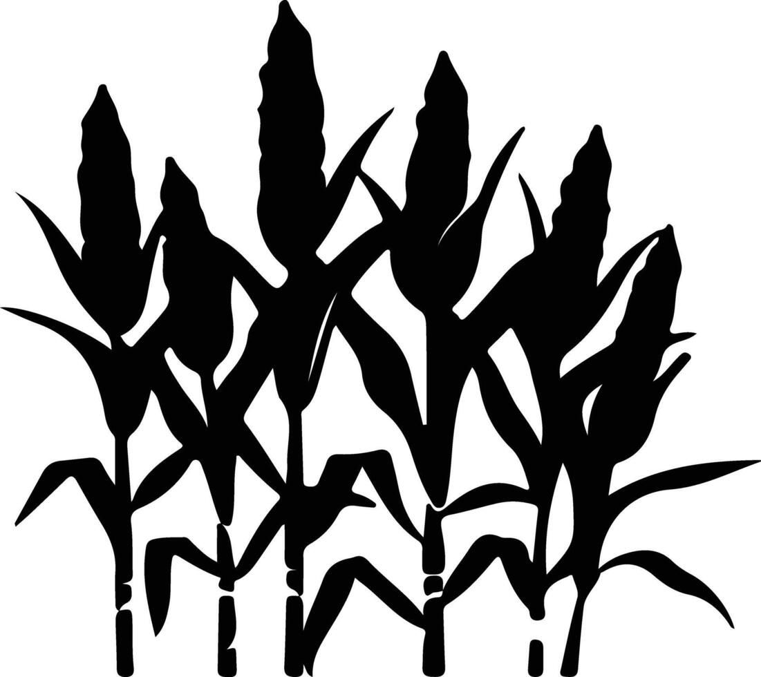 maïs noir silhouette vecteur