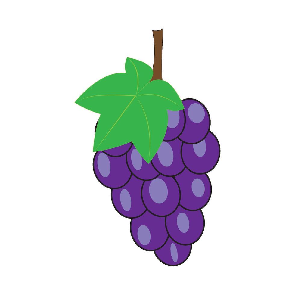 les raisins icône vecteur conception modèle