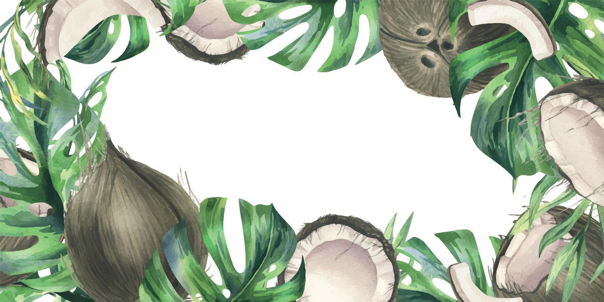 noix de coco ensemble, moitiés et pièces avec brillant, vert, tropical paume feuilles. main tiré aquarelle illustration. cadre, modèle, Vide isolé de le Contexte vecteur