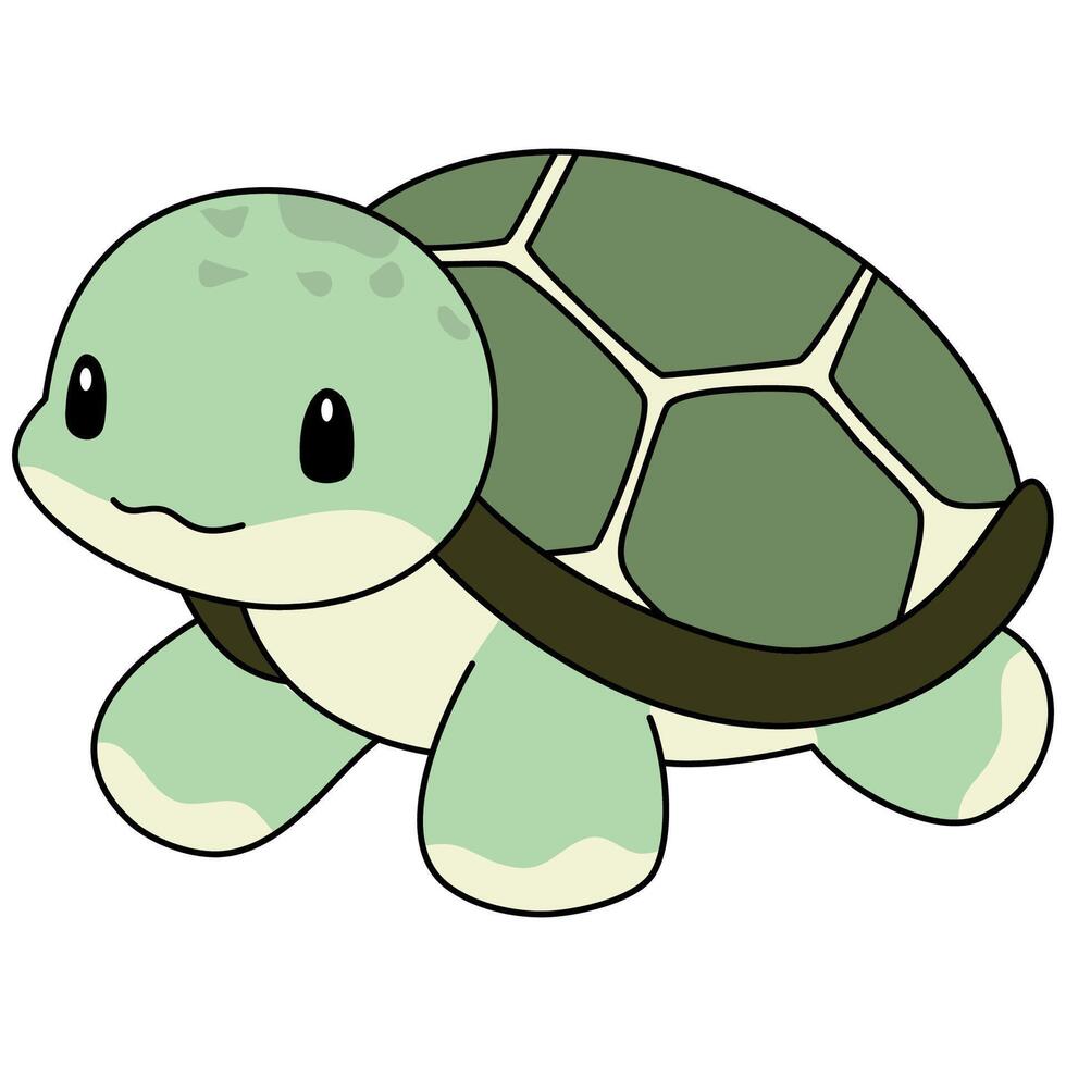 vecteur de dessin animé de tortue