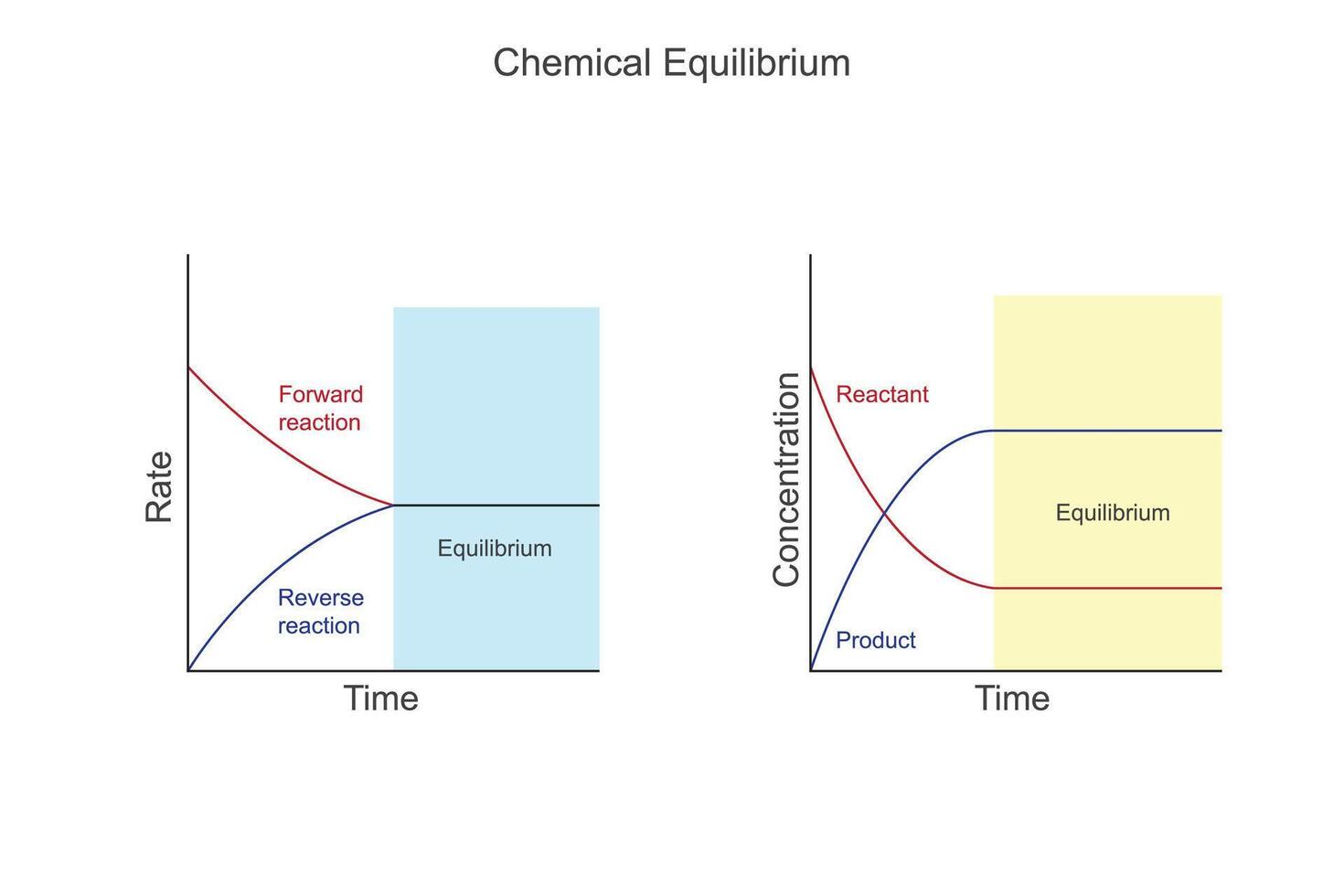 chimique équilibre est une dynamique Etat où le les taux de vers l'avant et sens inverse réactions sont égal, résultant dans une constant concentration de réactifs et des produits. vecteur