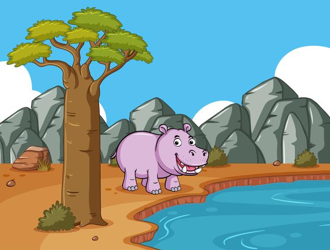 Hippo mignon près de l&#39;étang vecteur