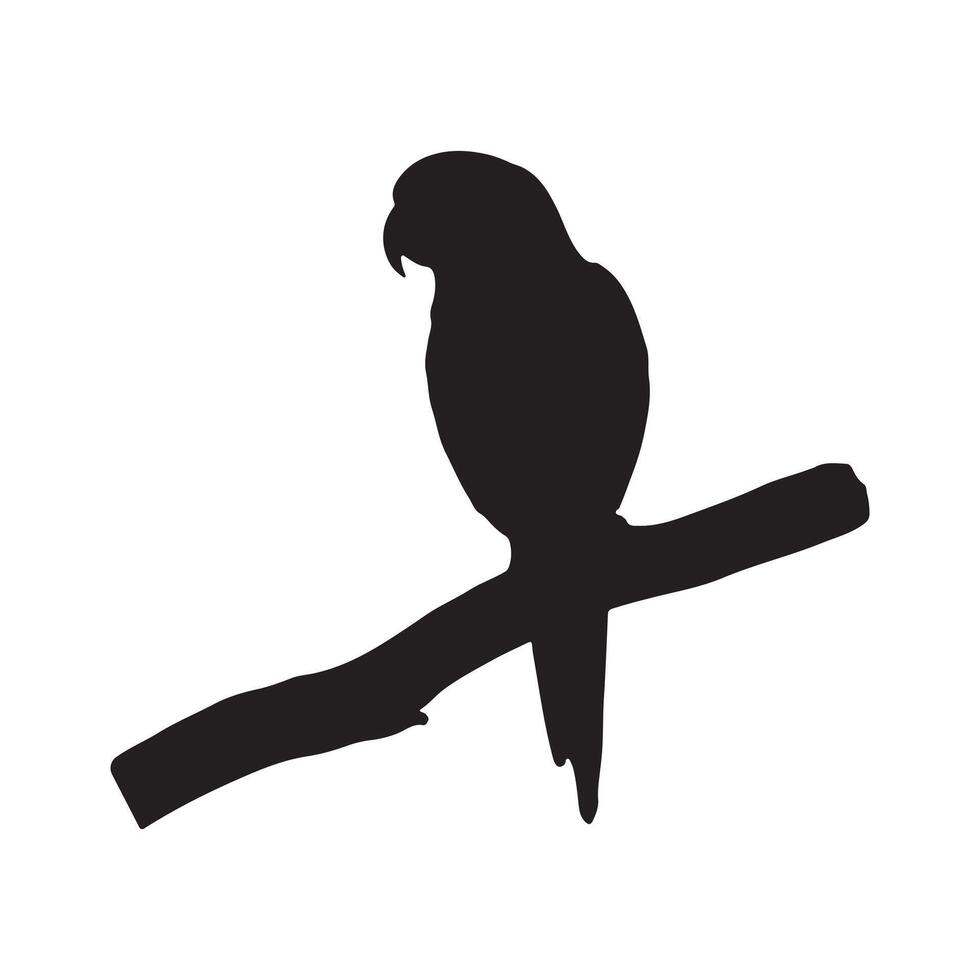 oiseau silhouettes blanc Contexte. vecteur illustration