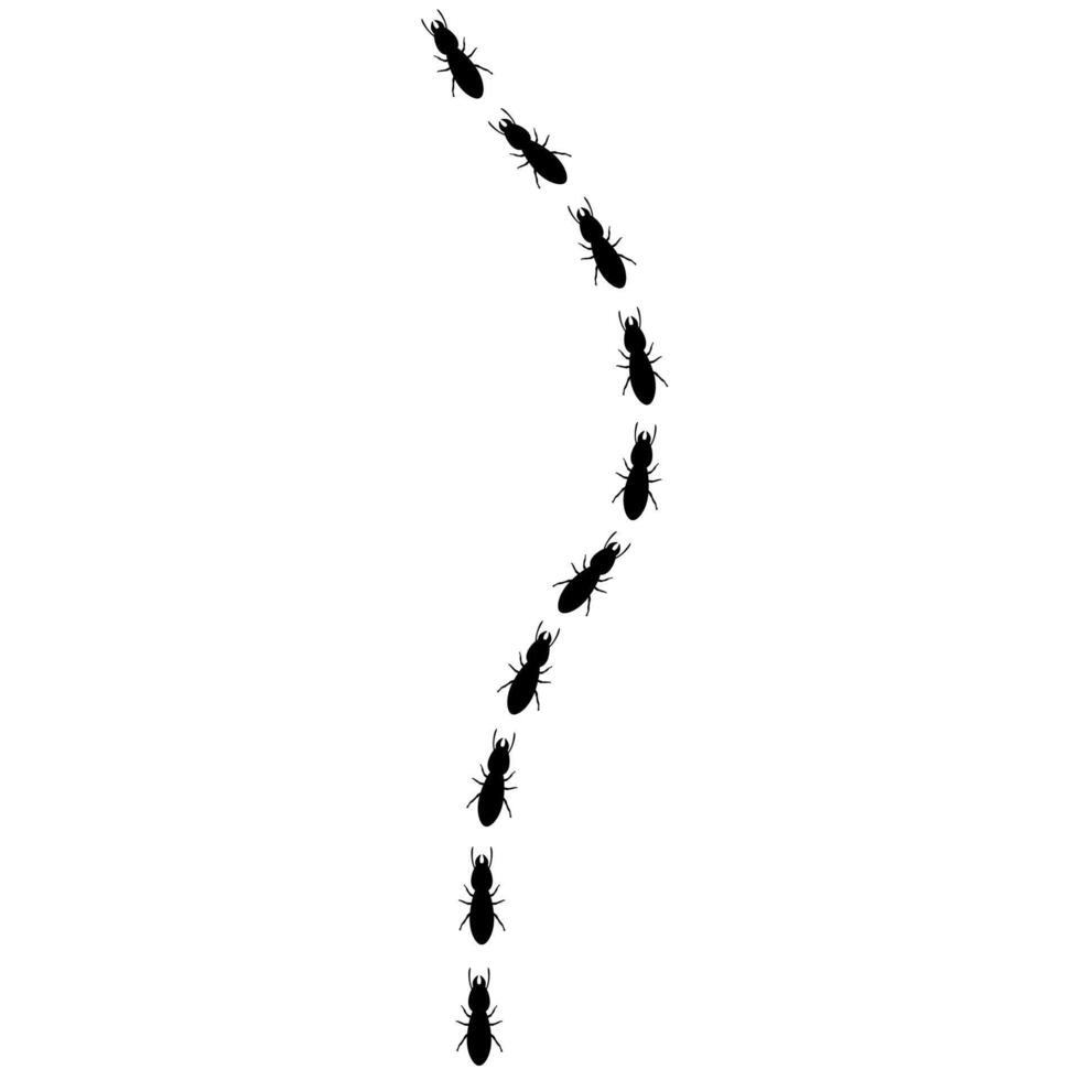 vecteur silhouette de une groupe de termites en marchant ensemble. mangeur de bois insectes marcher dans le même direction.