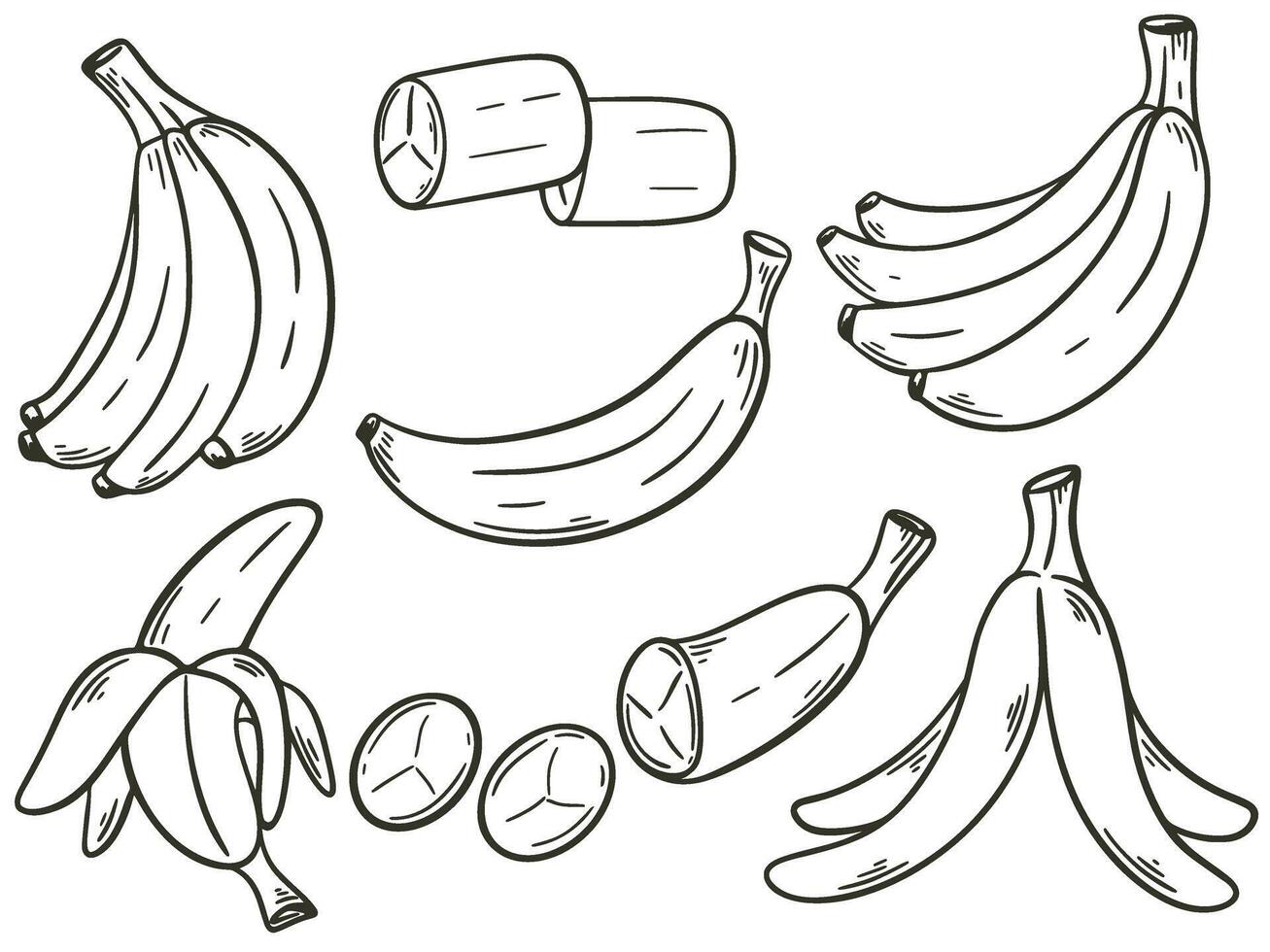 bananes ensemble main gravure isolé vecteur illustration