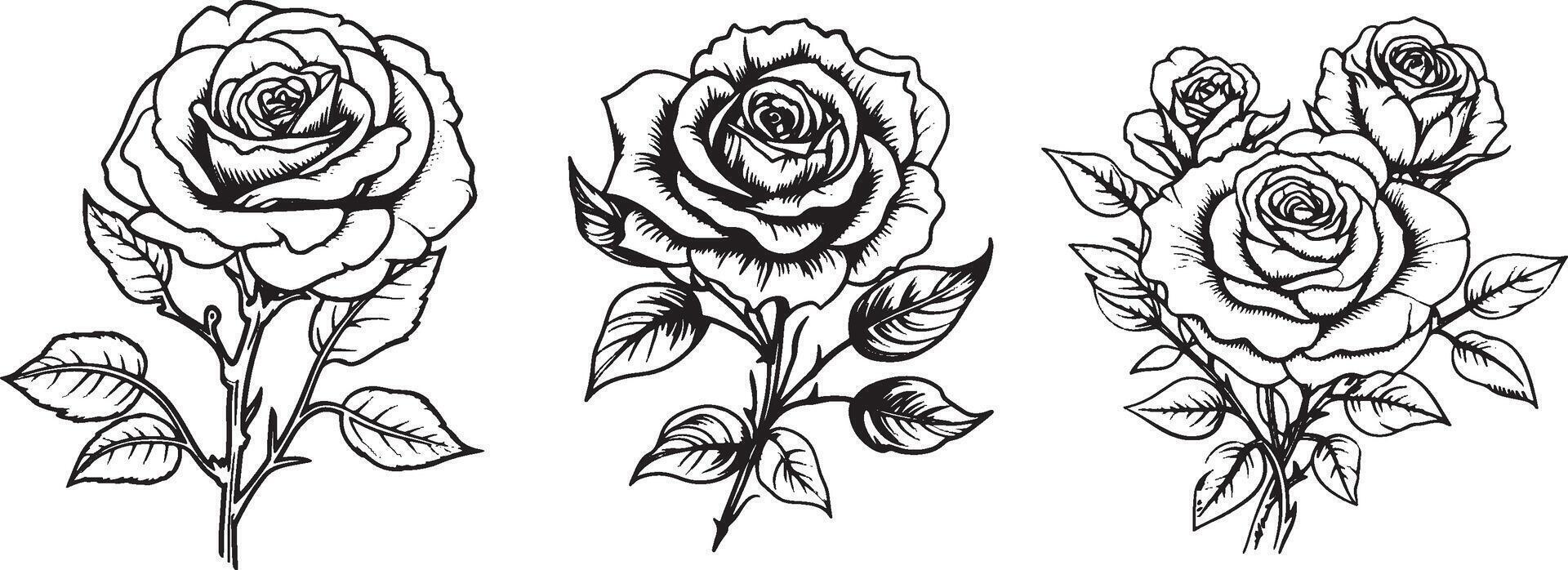 Rose fleur ligne art logo modèle clipart vecteur