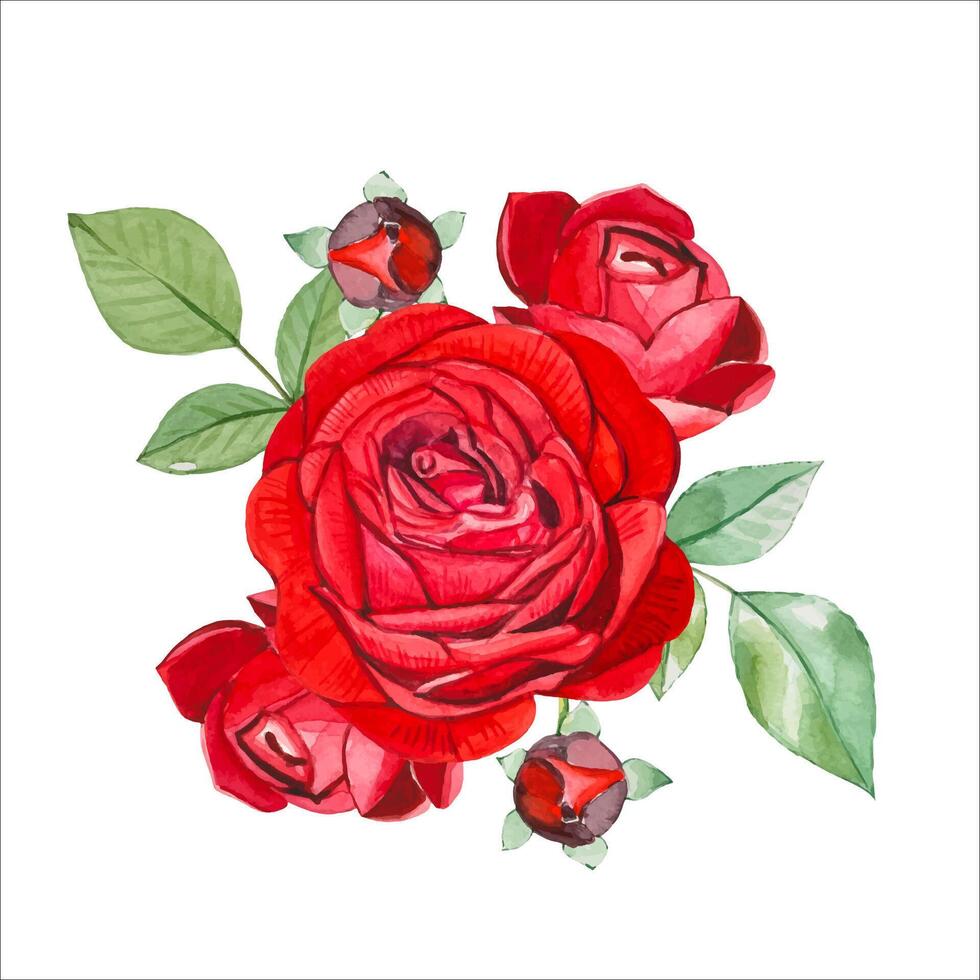 main tiré bouquet avec rouge des roses et feuilles, aquarelle illustration vecteur