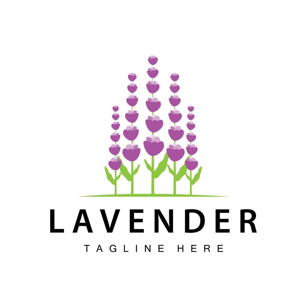 lavande logo Facile conception vecteur cosmétique plante violet Couleur et aromathérapie lavande fleur jardin modèle