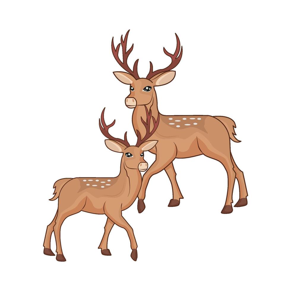 illustration de deux cerf vecteur